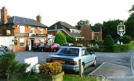 The Beehive