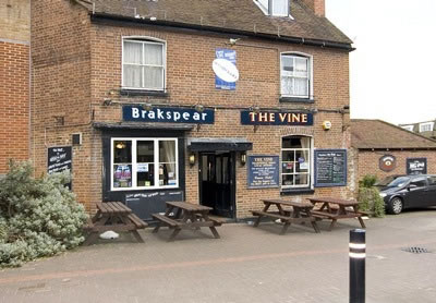 The Vine